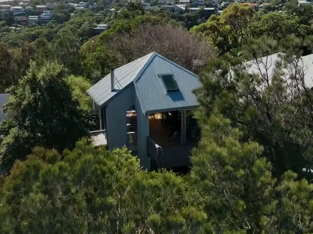 A coastal home among the trees, its living room and bedroom, the headland with whales below, and the garden fire pit at dusk