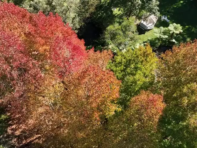 Autumn maples at Fires Creek, a garden footbridge leading to a white gazebo, and a flight across a dam to a Hunter Valley chapel